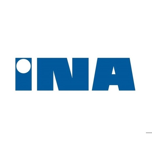 INA Nockenwellenversteller 427 1150 10 - Präzise Steuerung für Optimale Leistung