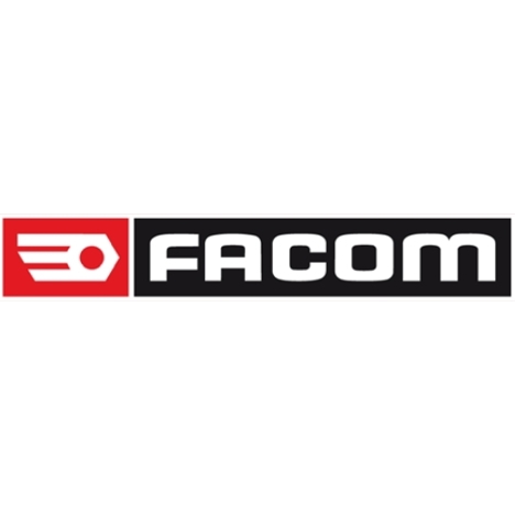 FACOM DA.160 Bremsentlüftungspumpe - Druck- und Unterdrucksystem