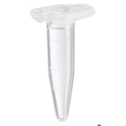 Eppendorf Safe-Lock PCR Reaktionsgefäße - 0,5 ml - 500 Stück