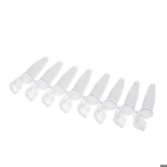 Eppendorf 0,2ml PCR Reaktionsgefäße | 8er Set | Farblos