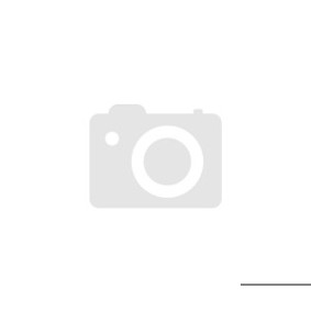 ARRMA Limitless ARA7816 1:7 8S AVC 4x4 RTR Brushless Street Speed - Rot