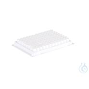 96-Well PCR Rack aus PP - Weiß | Hochwertiger PCR-Ständer