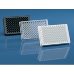 96-Well Zellkultur-Platten BRANDplates® inertGrade™ - Ideal für Zellkulturarbeit