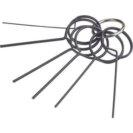 HAZET 4788-1/6 Fixierdorn Set - 6-teilig